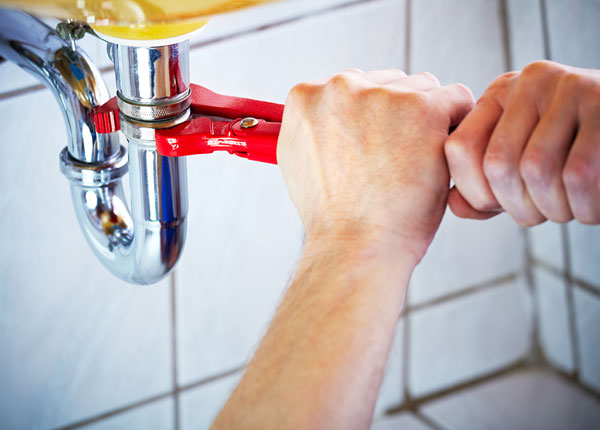 About Paynesville Plumbers